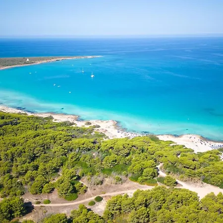 Casa Mazzini Nel Cuore Di Puglia On Line